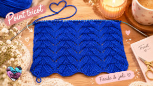 Point tricot Dentelles Lidia Crochet Tricot